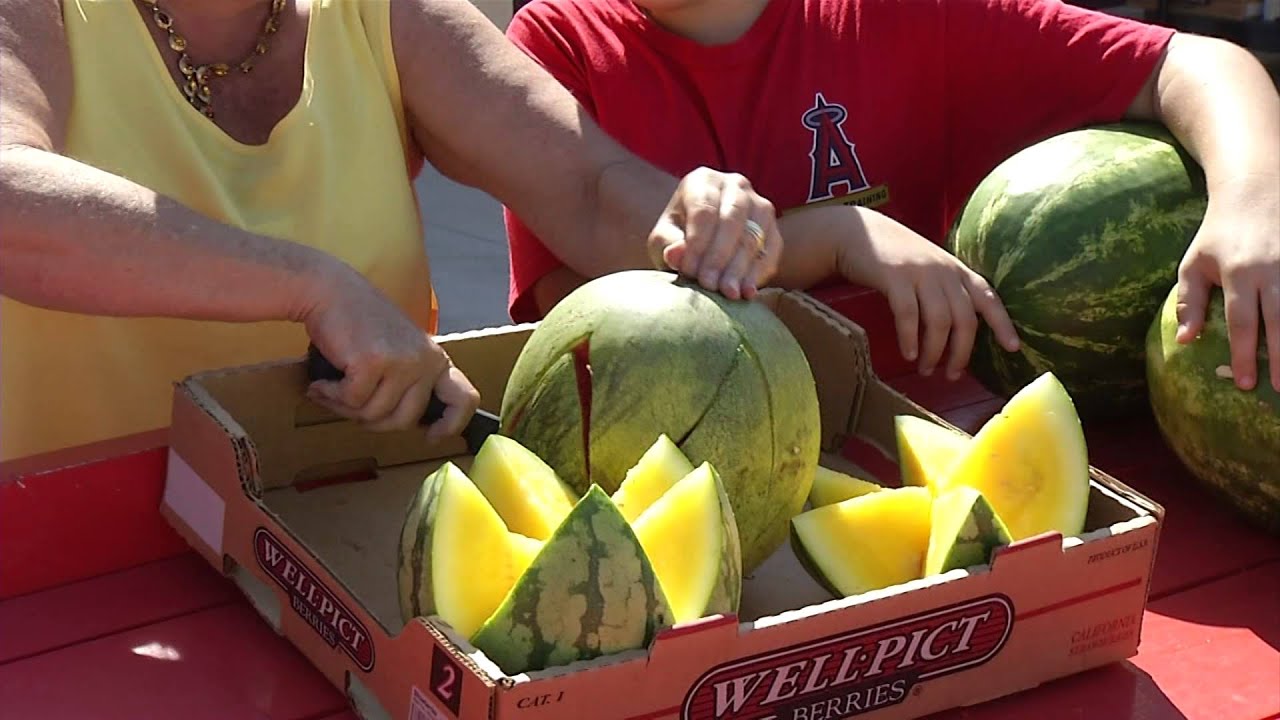 Circle Square Commons Farmers' Market - On Top of the World