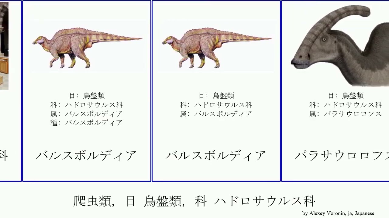 爬虫類, 目 鳥盤類, 科 ハドロサウルス科 reptilia Fuse バルスボル