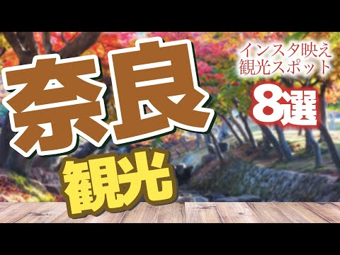 【奈良】奈良のおしゃれでインスタ映えする観光スポット♪