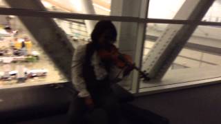 Anthrocon 2015: Song of Storms Violin