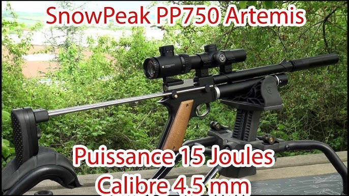 Pistola Pcp Multi-tiro Pp750 5.5 Artemis/500fps + Bombin Pcp