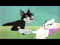 Tom And Jerry Casanova Cat 1951 Part 02 