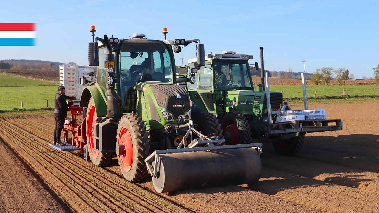 Zwiebeln pflanzen | Fendt 516 Vario + Ferrari FastBlock // Fendt Farmer 311 | Luxemburg 2025