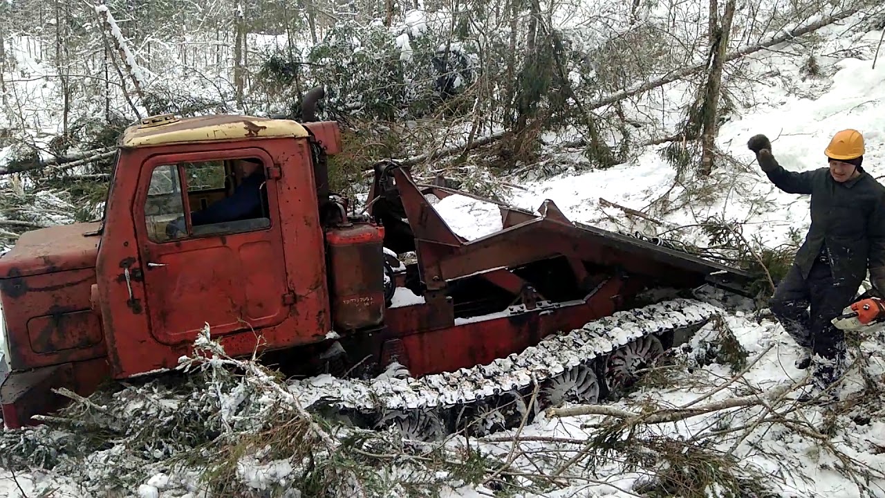 тдт-55а трактор трелевочный. трелевка леса на тт4. заготовка леса на тдт 55. тт лес. трелевка хлыстов на тракторе тдт 55.