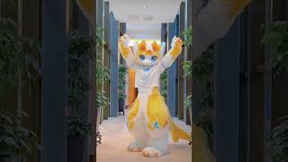 Sold handmade kemono fursuits on display #furry #fursuit #commission