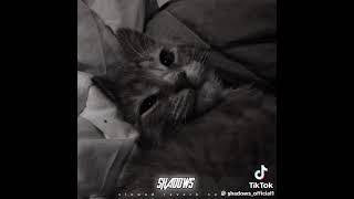 Ra Sihinayak Wage Slowed boys Over Flowers Theme Songtvderana