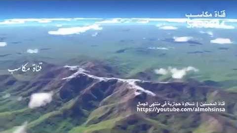 تلاوة حجازية