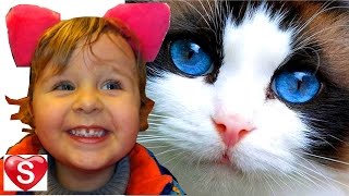 КОТЯТА Саша ЦЕЛУЕТ котов, КОШКИ и КОТЫ на Международной Выставке Котов 2016 Видео для детей Малышей КОТЯТА Саша ЦЕЛУЕТ котов, КОШКИ и КОТЫ на Международной Выставке Котов 2016 Видео для детей Малышей