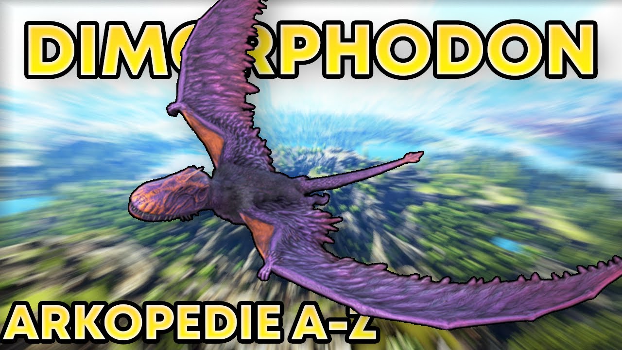 DIMORPHODON / ARKOPEDIE / #32 Taming,ochočení