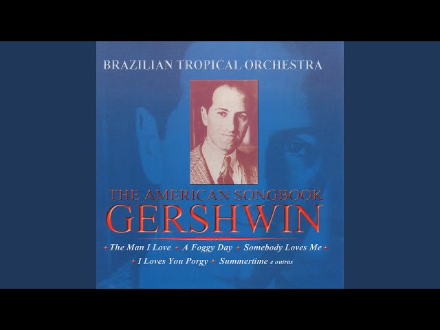 Brazilian Tropical Orchestra - 's Wonderful