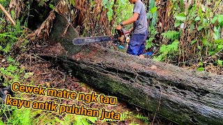 Rajanya kayu..!! mengolah kayu ulin paliiing menakjubkan dari kalimantan Timur