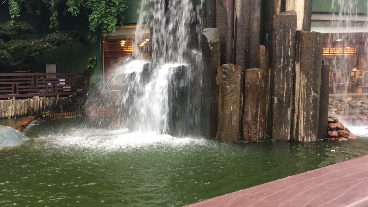Waterfalls and Bunsai tree at Nan Lian Garden Hongkong/ Bella Tiens vlogs