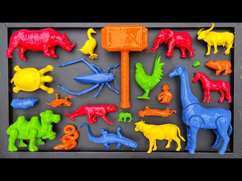 CLEANING: Cow, Elephant, Mammoth, Chimpanzee, Rabbit, Crocodile, Chicken, Duck, Snake, Kangaroo.