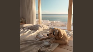 Sea Play Canine Harmony