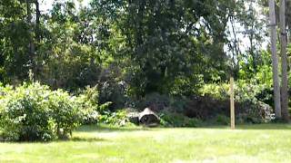 Roger Stump blow up