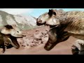 Prehistoric park trex fight