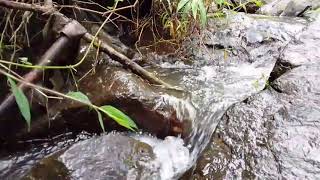 Download Lagu GEISHA FULL ALBUM  MP3