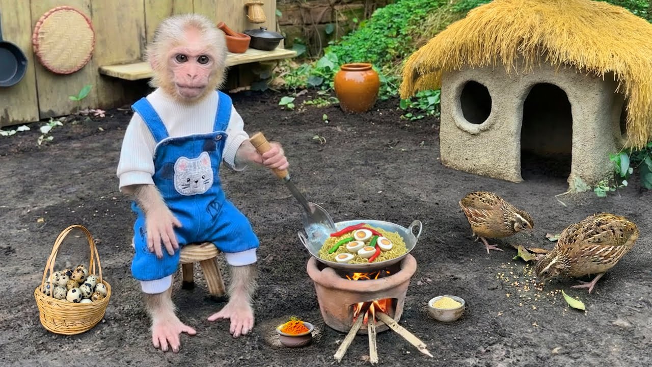 Smart Baby Monkey Xuka Harvests Quail Eggs and Bell Peppers to Cook Spaghetti