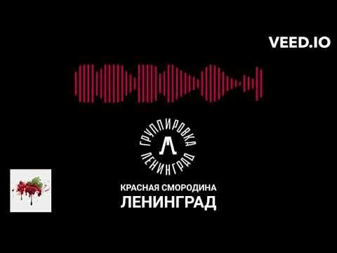 Слушать песню ленинград смородина. Группа Ленинград красная смородина. Свободная касса Ленинград клип. Шнуров песня смородина.