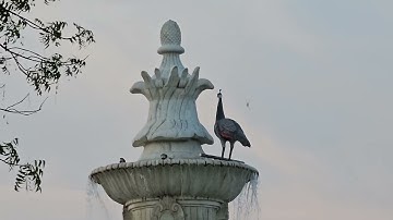 Kota Oxy Park True Green Rajasthan India anil jain ajmer