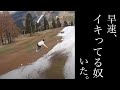 早速居たわwww
