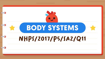 PSLE SCIENCE MADE SIMPLE EP118 | Body Systems | Movement Of Blood In The Body 🩸