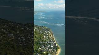 OceanLove Innovation Award Finalist - The Ocean knows my heart