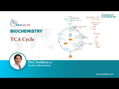 TCA Cycle #biochemistry #tcacycle