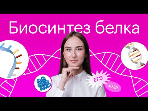 Видео: Почему синтез белка строго регулируется?