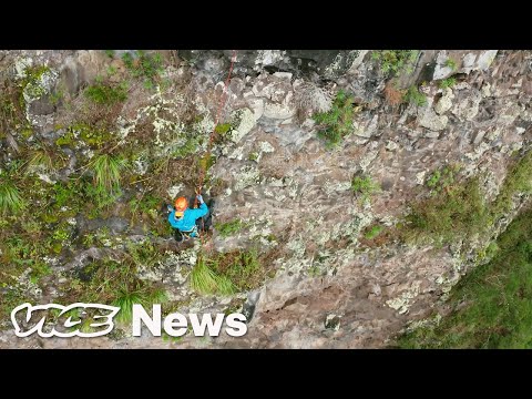These Botanists Are Scaling Cliffs to Save Endangered Plants