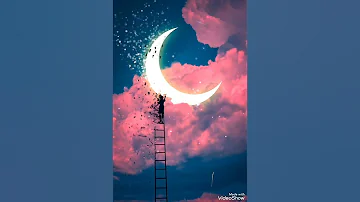 فى البعد لوعة ياسين التهامى 