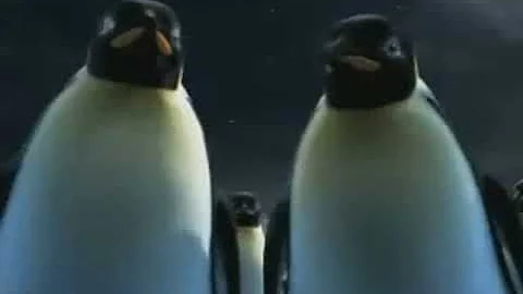 Coca-Cola - Penguins & Polar Bears (2005, USA)