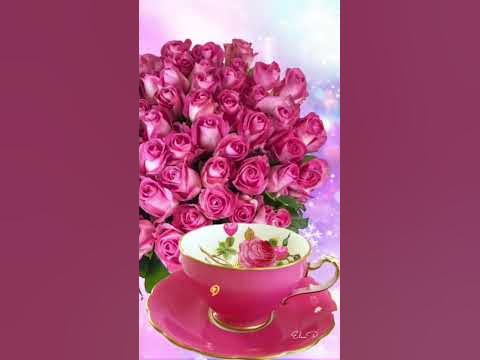 #доброеутро - YouTube