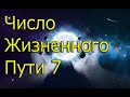 Нумерология по дате рождения  Число жизненного пути 7