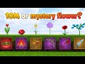 10M or Mystery Flower Blockman Go Skyblock