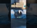 ⚔️ Beyond the Horizon 🌊 | Vikings Who Defied the Edge of the World #shorts