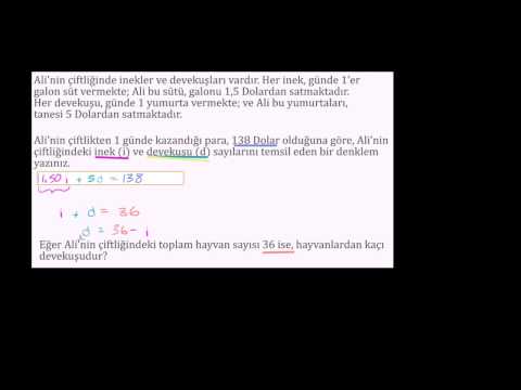 İneklerden Ve Deve Kuşlarından Para Kazanmak