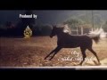 وحشتيني مجد القاسم 