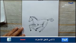 رسم كرتونى لحصان  Cartoon drawing of a horse