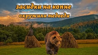 Засидка на копне окружили медведи