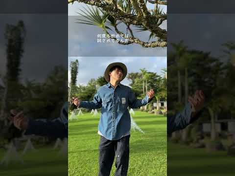 Believer Believer Newmusic アンビリバボー ナオトインティライミ ナオト Naoto 