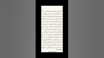 الورد اليومي: 4 صفحات (337-338-339-340) لتجنب هجر القرآن | تذكير يومي مستمر #قرآن #تلاوة'