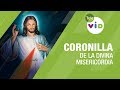 Coronilla de la Divina Misericordia con el Padre Fredy Córdoba - Tele VID