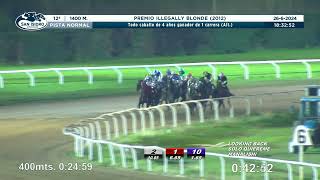 Vidéo de la course PMU PRIX PREMIO ILLEGALLY BLONDE 2012 (ALTERNATIVA)