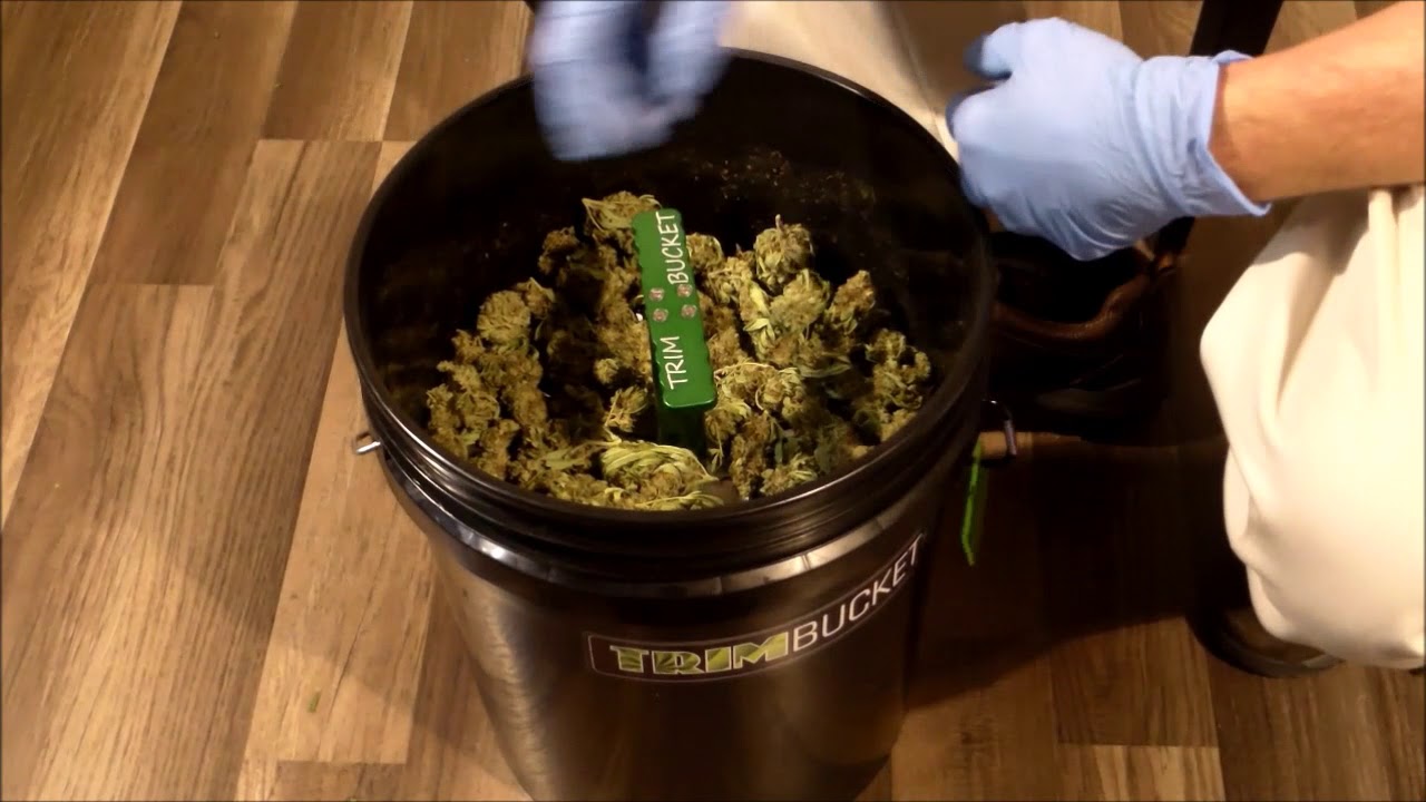 Bucket Of Trim Bucket Of Trim