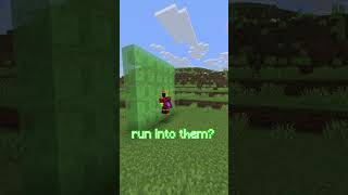 MINECRAFT Doesn’t Make ANY Sense... #shorts