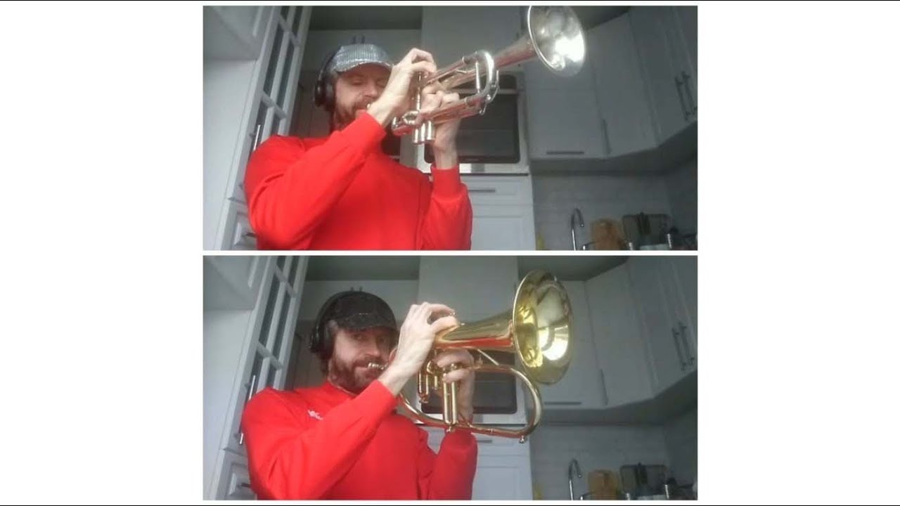 Винченцо Д'Агостино - "Новый поцелуй", исп. Роман Иванов (труба ...