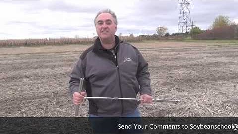 Soybean School - How to Properly Test For Soybean Cyst Nematode