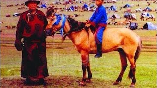 видео: ТОЛИН ХУЛ азарганы тухай. картинка: ТОЛИН ХУЛ азарганы тухай.