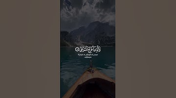 عبدالرحمن مسعد سورة الاعلى Abdulrahman Mosad Surah Al A'la